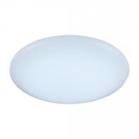 Светодиодный настенно-потолочный светильник ST Luce SL875 SL875.442.01