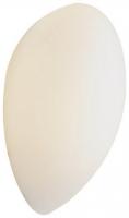 Бра WERTMARK GLOBE WE211.01.001