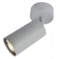 Накладной светильник Arte Lamp AQUARIUS A3216PL-1GY