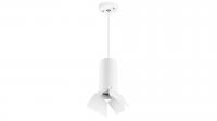 Подвесной светильник Lightstar Rullo (214486+590056+202436) RP486436