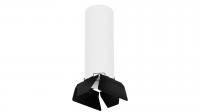 Потолочный светильник Lightstar Rullo (216496+202487) R6496487