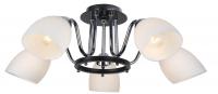 Потолочная люстра Arte Lamp FIORENTINO A7144PL-5BK