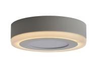 Светодиодный потолочный светильник Arte Lamp ANTARES A7806PL-2WH