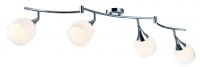 Спот Arte Lamp TRUMPET A9556PL-4CC