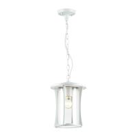 Подвесной уличный светильник Odeon Light GALEN 4173/1