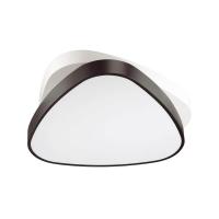 Светодиодный потолочный светильник Lumion Ledio 4510/72CL
