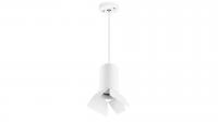 Подвесной светильник Lightstar Rullo (214436+590056+202436) RP436436