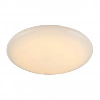 Светодиодный настенно-потолочный светильник ST Luce SL875 SL875.062.01