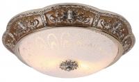 Настенно-потолочный светильник Arte Lamp TORTA LUX A7137PL-2CR