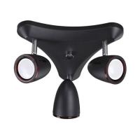 Потолочный светильник Odeon Light IMAGIO 3824/3C