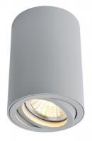Накладной светильник Arte Lamp SENTRY A1560PL-1GY