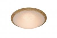 Светодиодный потолочный светильник Lucide RUNE 79178/08/72