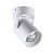 Накладной светильник Odeon Light CORSUS 3854/1C