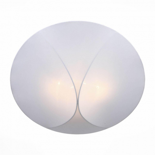 Потолочный светильник ST Luce Tonico SL360.552.04