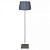 Торшер Lussole MILTON LSP-0515