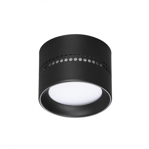 Потолочный светильник Odeon Light REAL 6610/1C