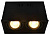 Технический светильник Arte Lamp CARDANI A5942PL-2BK