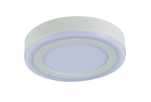 Светодиодный потолочный светильник Arte Lamp ANTARES A7816PL-2WH