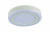 Светодиодный потолочный светильник Arte Lamp ANTARES A7816PL-2WH