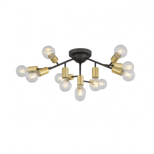 Потолочная люстра ST Luce FOGLIONE SL437.402.12 купить по низкой цене