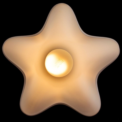 Потолочный светильник Arte Lamp CANZONE A3469PL-1CC