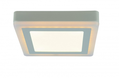 Светодиодный потолочный светильник Arte Lamp ALTAIR A7716PL-2WH