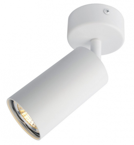Накладной светильник Arte Lamp AQUARIUS A3216PL-1WH
