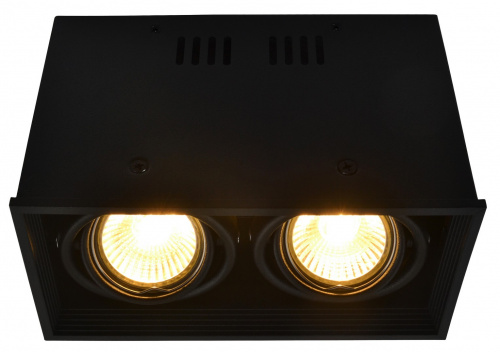 Технический светильник Arte Lamp CARDANI A5942PL-2BK
