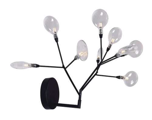 EVITA AP9 BLACK/TRANSPARENT купить не дорого