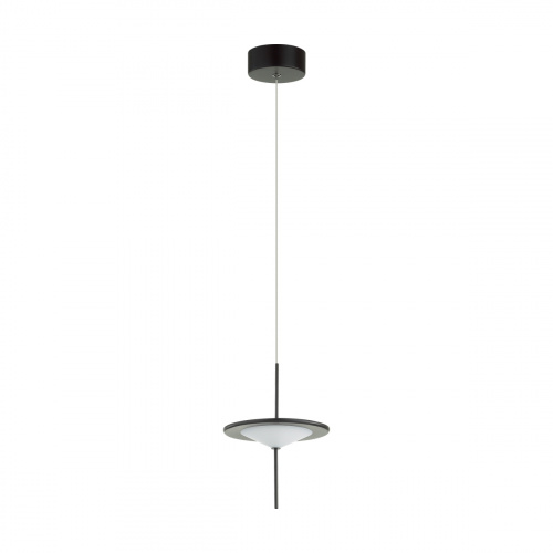 Подвесной светильник Odeon Light Steka 5012/10L