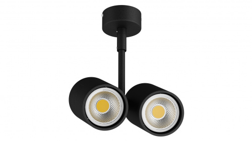 Накладной светильник Lightstar Rullo 214447
