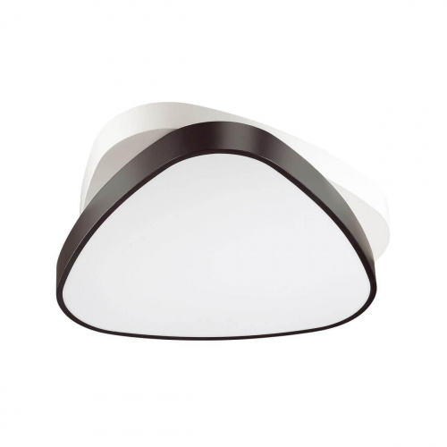 Светодиодный потолочный светильник Lumion Ledio 4510/72CL