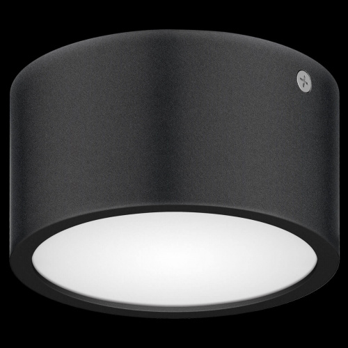 Уличный потолочный светильник Lightstar Zolla 380174