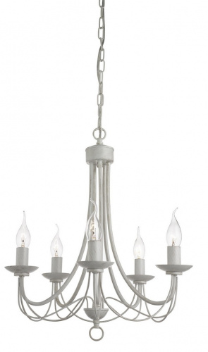 Подвесная люстра Arte Lamp MAYPOLE A6300LM-5WG купить по низкой цене