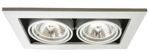 Светильник Arte Lamp Technika A5930PL-2SI