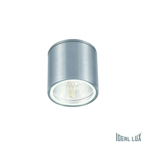 Уличный потолочный светильник Ideal Lux GUN PL1 ALLUMINIO