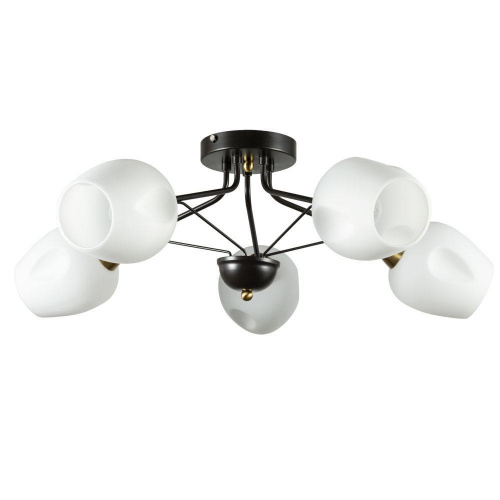 Потолочная люстра Arte Lamp Brighton A2706PL-5CK купить по низкой цене