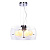 Подвесная люстра Lumina Deco Nano LDP 6018-6 PR