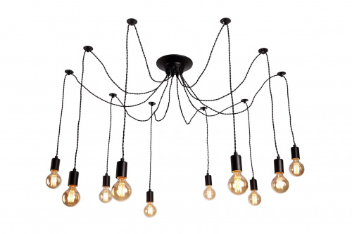 Потолочный светильник Arte Lamp FUORI A9184SP-10BK