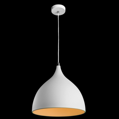 Подвесной светильник Arte Lamp CICLONE A9155SP-1WH