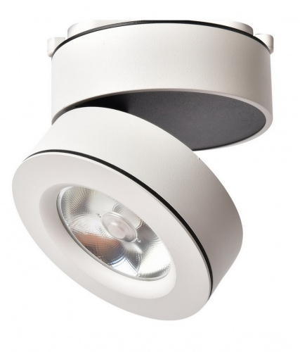 Светодиодный накладной светильник Arte Lamp VELA A2511PL-1WH
