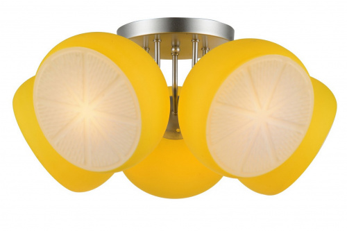 Потолочная люстра ST Luce Arancio SL482.902.05 купить по низкой цене