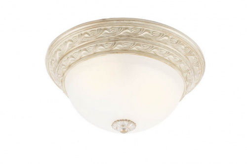 Потолочный светильник Arte Lamp PIATTI A8013PL-2WA
