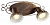 Спот Arte Lamp FOCUS A5219AP-2BR