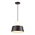 Подвесной светильник Odeon Light ALUR 4141/1
