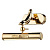 Подсветка MAYTONI Raphael PIC113-01-G