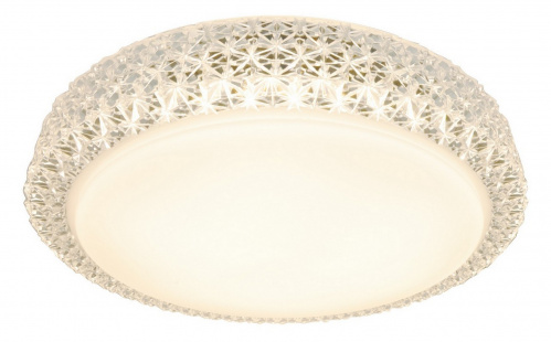 Светодиодный потолочный светильник Arte Lamp CELESTE A1569PL-1CL