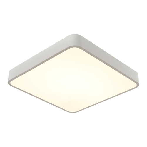 Светодиодный потолочный светильник Arte Lamp  A2663PL-1WH