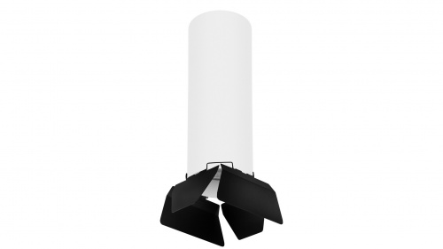 Потолочный светильник Lightstar Rullo (216496+202487) R6496487