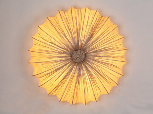 Потолочная люстра ST Luce SL351 SL351.072.05 купить по низкой цене